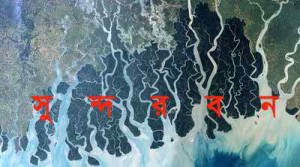 sundarban_map_456808314