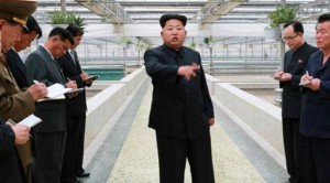 north_korea_603412112