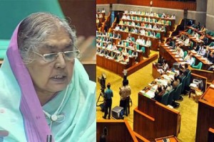 180737_bangladesh_pratidin_parliament6bd